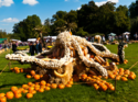 Крупнейший в мире фестиваль тыквы проходит сейчас в Германии до 5 ноября!
